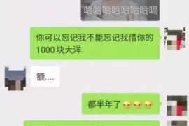 安平安平的要账公司在催收过程中的策略和技巧有哪些？