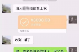 安平为什么选择专业追讨公司来处理您的债务纠纷？